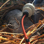 Blumat Pressure Reducer — 0.5 bar, 8mm Output