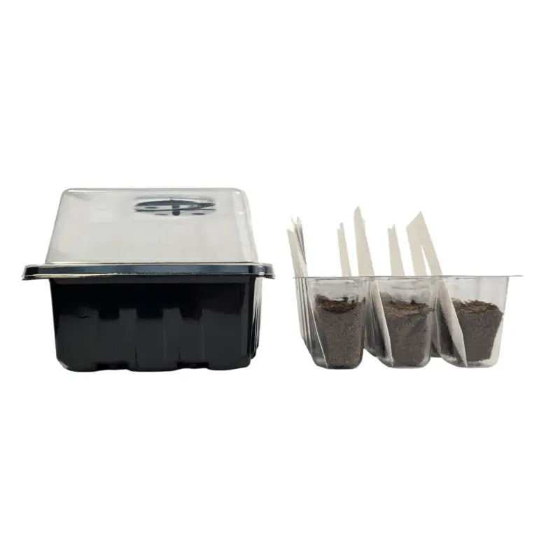 Aquager Grab & Grow Seed Starter Kit