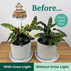 Tiny Treehouses Sunrise Terrace DIY Model Kit with Grow Light