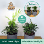 Tiny Treehouses Sunrise Terrace DIY Model Kit with Grow Light