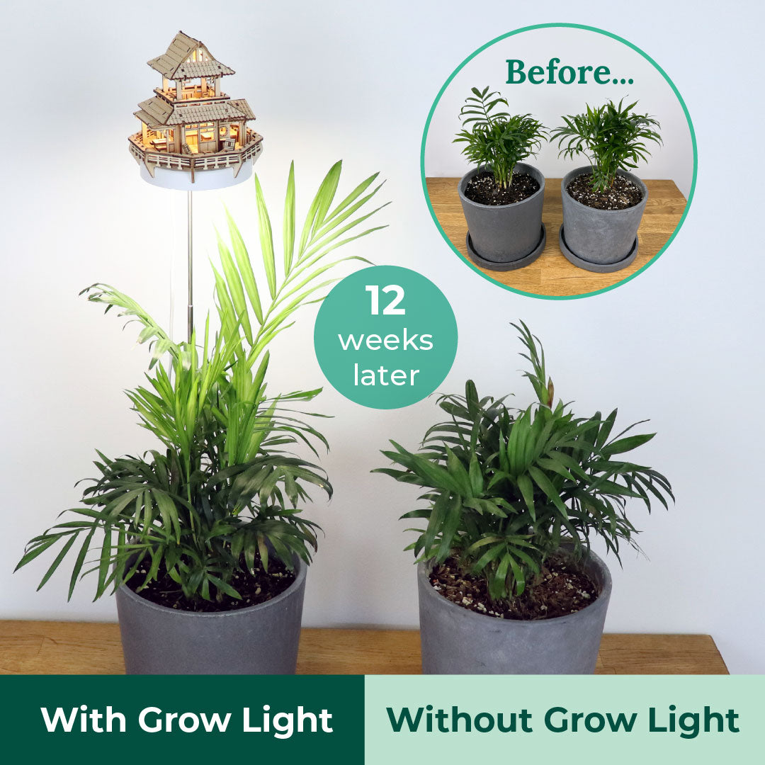 Tiny Treehouses Sunrise Terrace DIY Model Kit with Grow Light