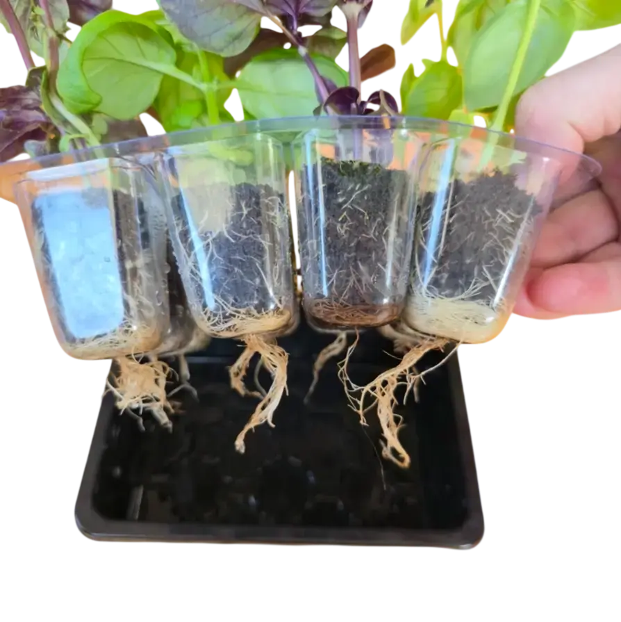 Aquager Grab & Grow Seed Starter Kit