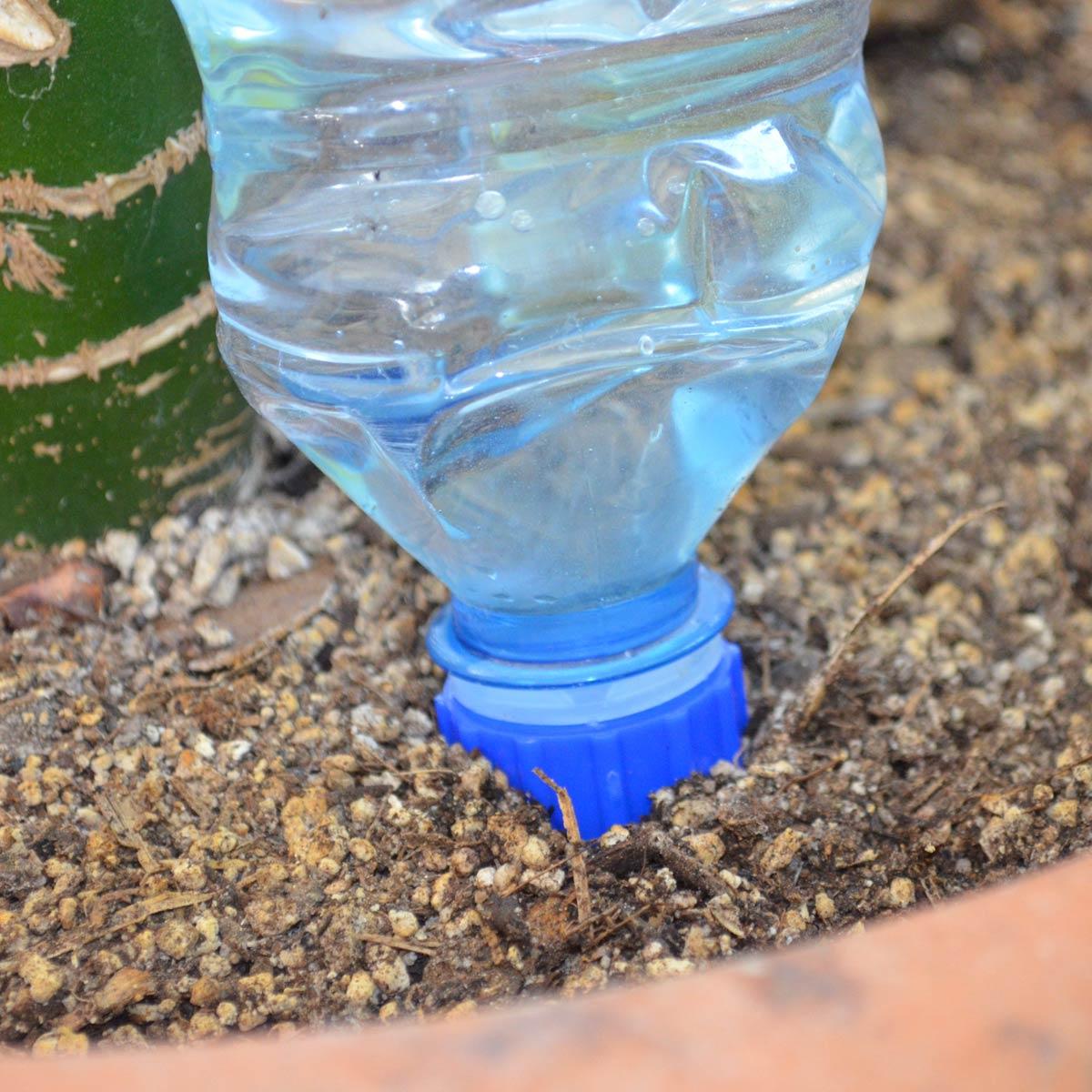 Blumat Bottle Cap Adapter