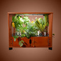 Aquager 24-Plant Home Farm & Extension Options
