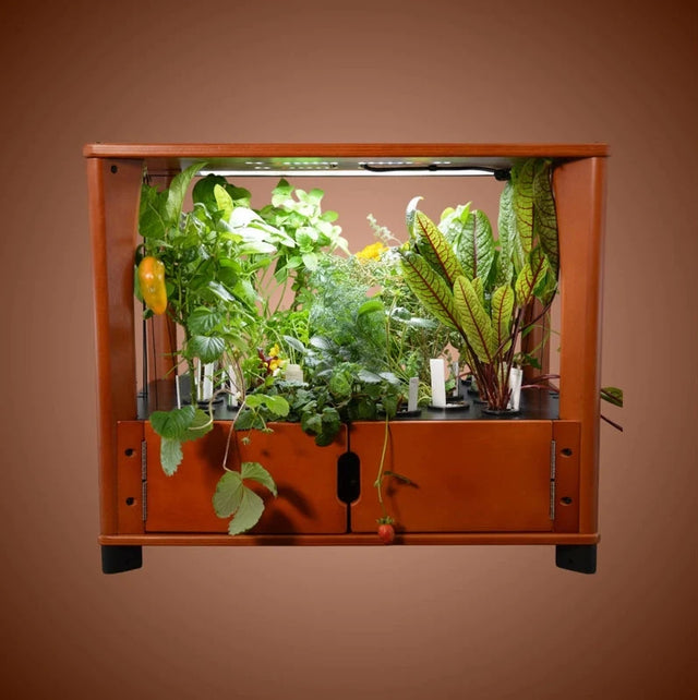 Aquager 24-Plant Home Farm & Extension Options