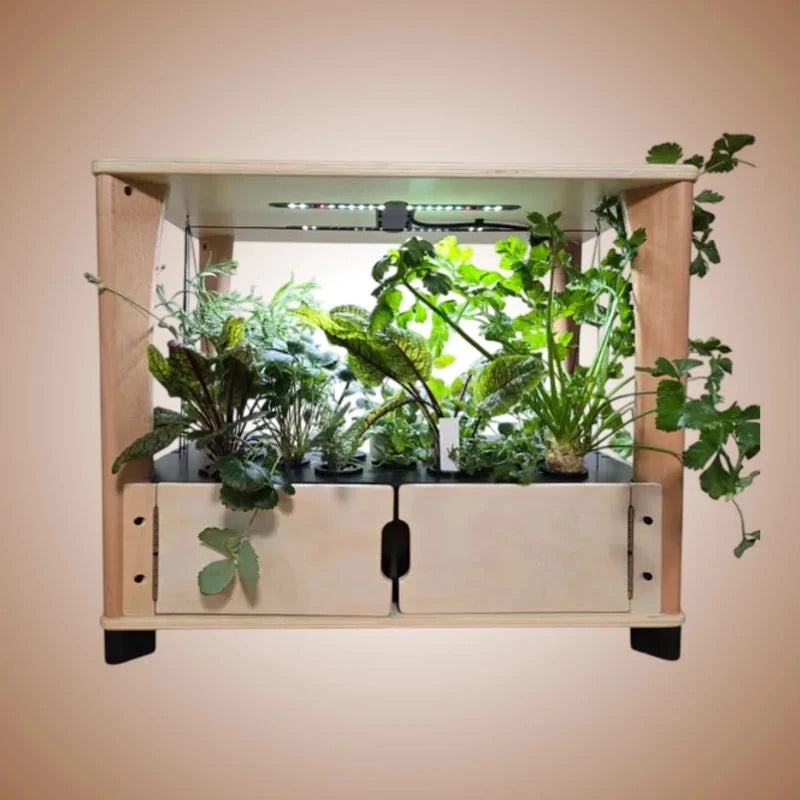 Aquager 24-Plant Home Farm & Extension Options