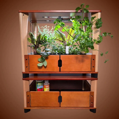 Indoor Gardens