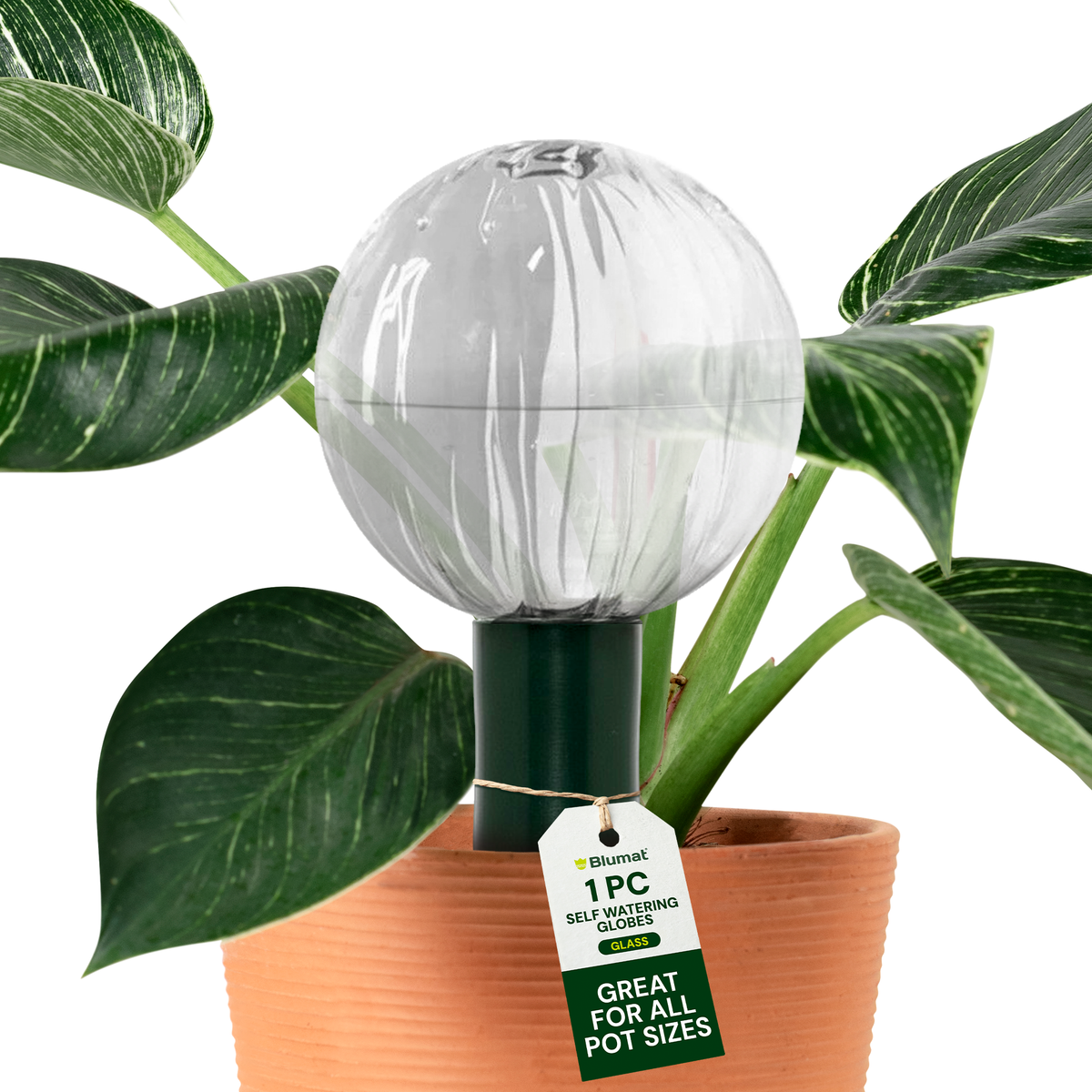 Blumat Glass Watering Globe with Bottle Adapter