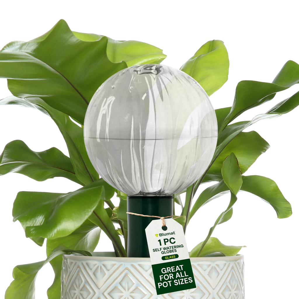 Blumat Glass Watering Globe with Bottle Adapter