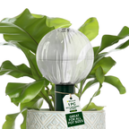 Blumat Glass Watering Globe with Bottle Adapter