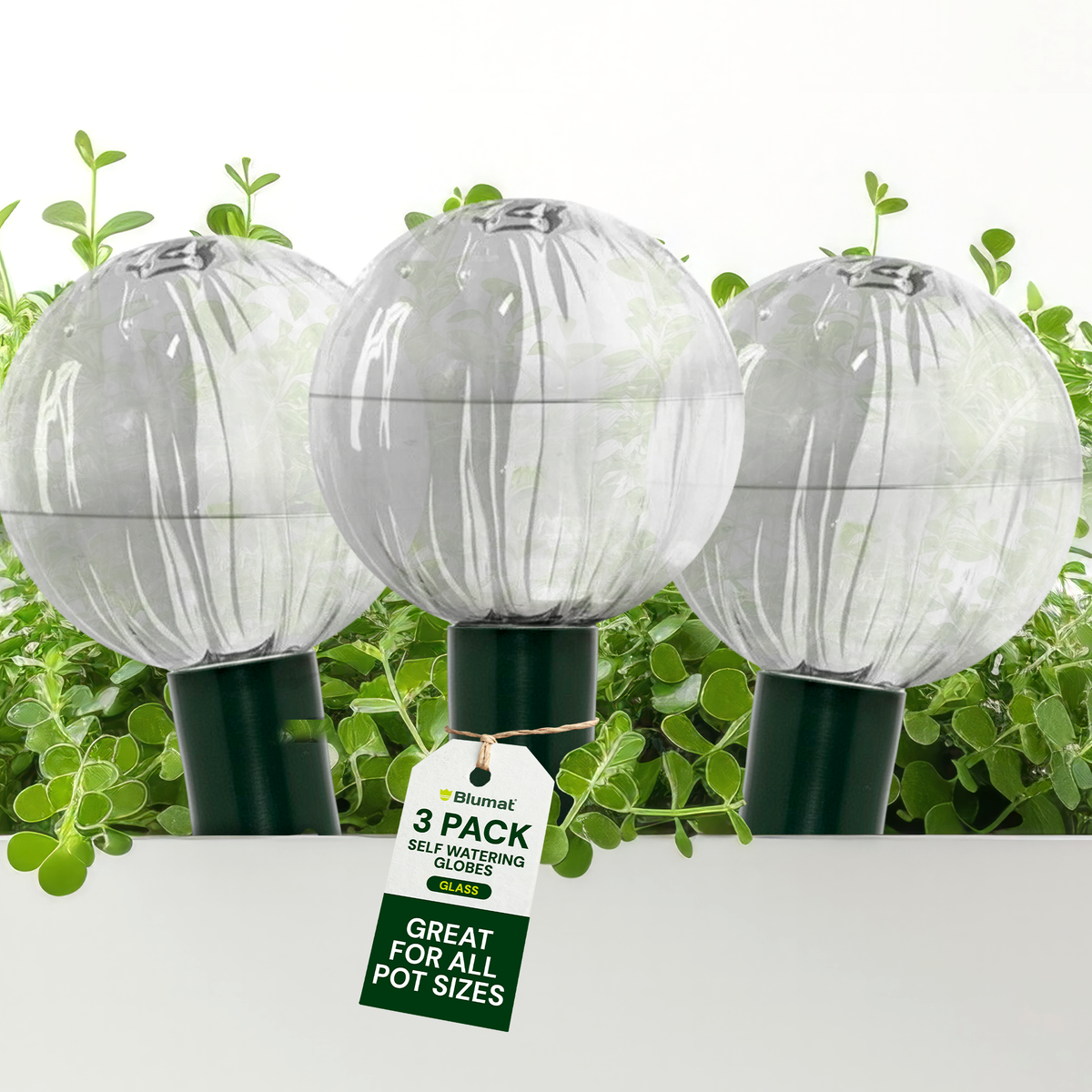Blumat Glass Watering Globe with Bottle Adapter