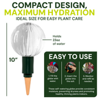 Blumat Glass Watering Globe with Bottle Adapter