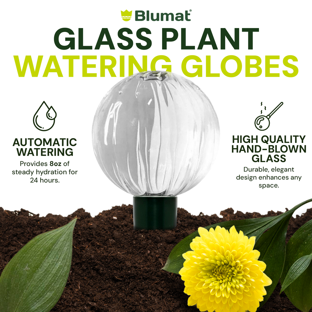 Blumat Glass Watering Globe with Bottle Adapter