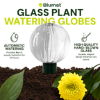 Blumat Glass Watering Globe with Bottle Adapter