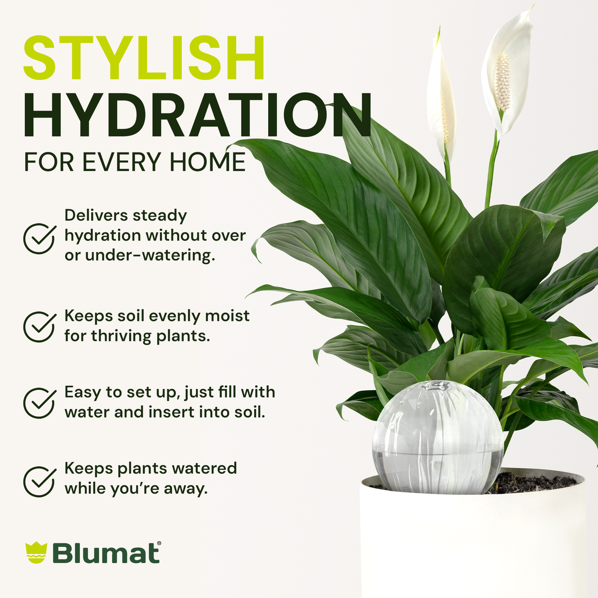 Blumat Glass Watering Globe with Bottle Adapter