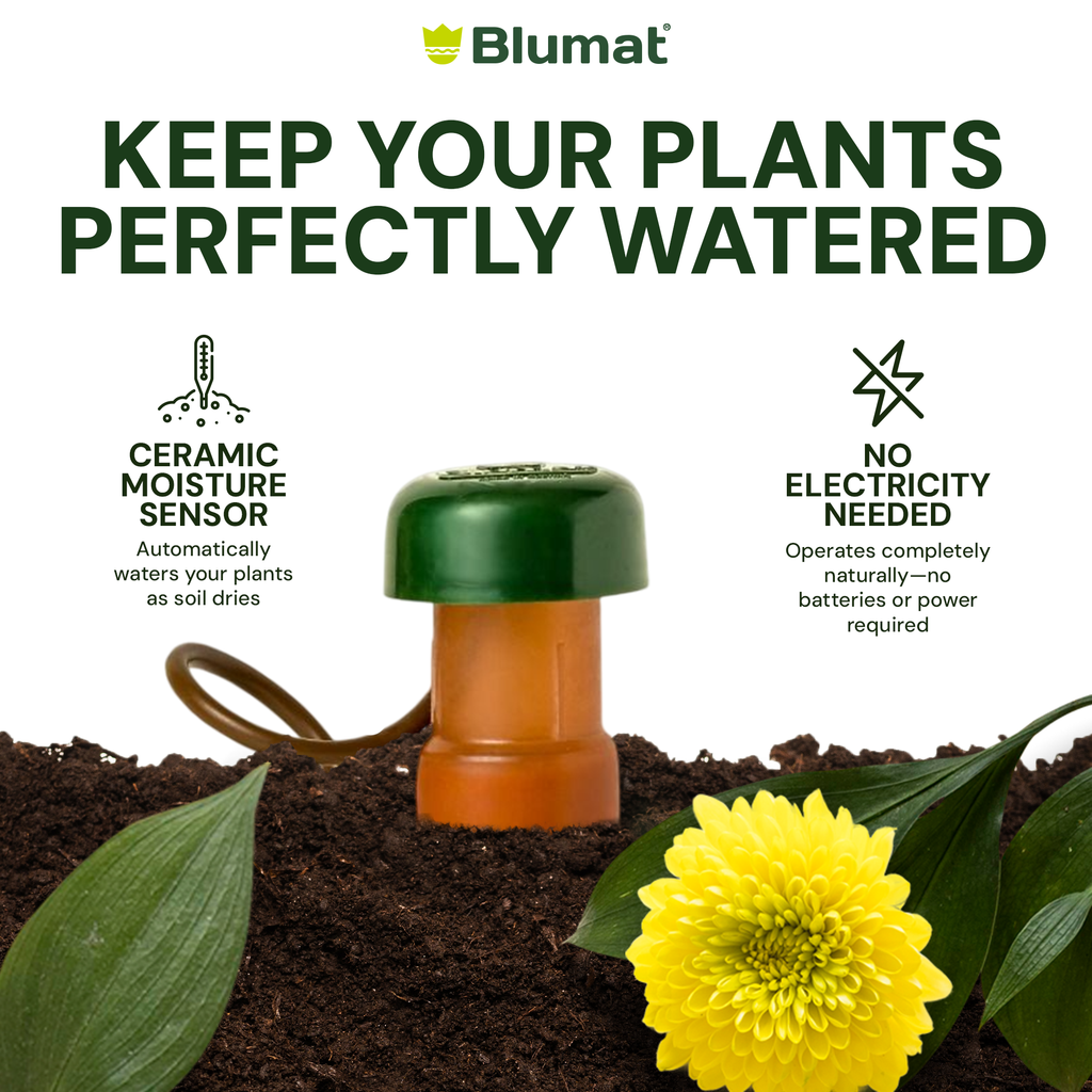 Blumat Classic Watering Cones with Adapters