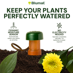 Blumat Classic Watering Cones with Adapters