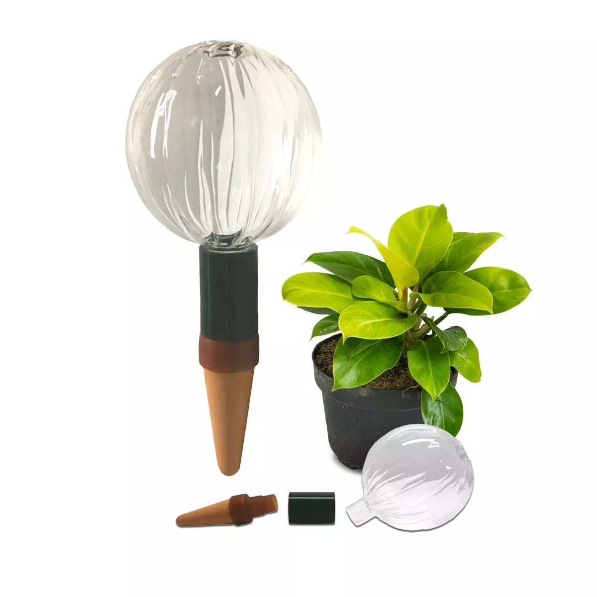 Blumat Glass Watering Globe with Bottle Adapter