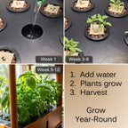 Aquager 24-Plant Indoor Hydroponic Garden Bundle