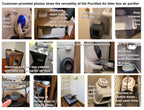 Purrified Air Purifier, Extra Filter & Overhead Bracket Bundle