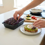 Aquager Grab & Grow Seed Starter Kit
