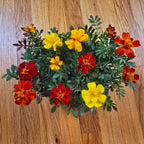 Aquager Grab & Grow Seed Starter Kit